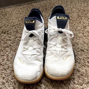 These are white, blue and yellow Nike Lebrons.